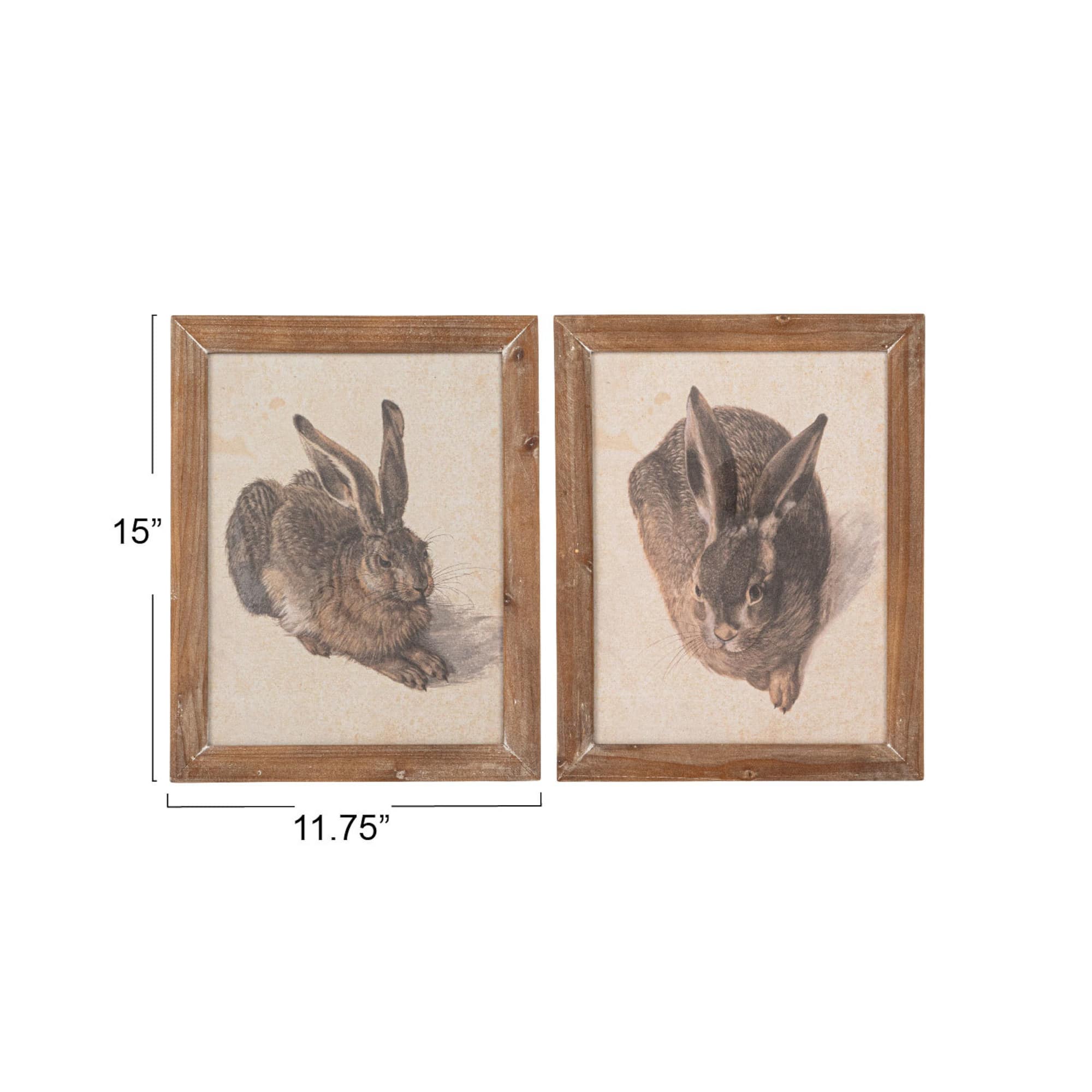 Hello Honey® 15" Wood Framed Rabbit Portrait Wall Art Set